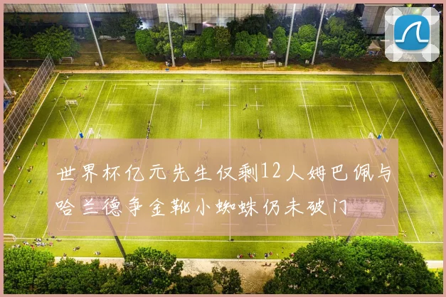 世界杯亿元先生仅剩12人姆巴佩与哈兰德争金靴小蜘蛛仍未破门