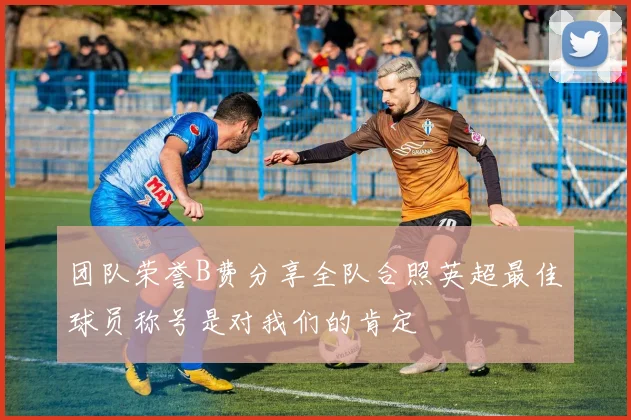 团队荣誉B费分享全队合照英超最佳球员称号是对我们的肯定