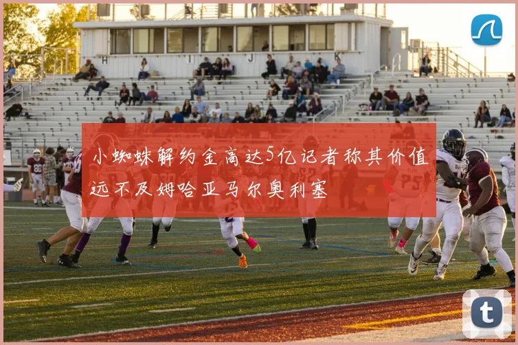 小蜘蛛解约金高达5亿记者称其价值远不及姆哈亚马尔奥利塞
