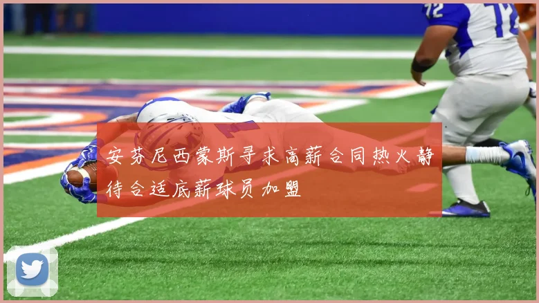 安芬尼西蒙斯寻求高薪合同热火静待合适底薪球员加盟